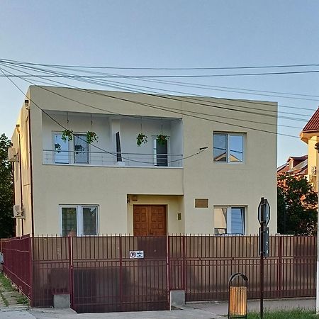 מלון אפורי נורד Vila Cosmin מראה חיצוני תמונה