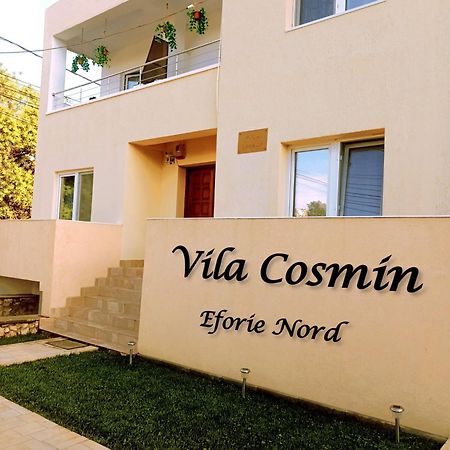 מלון אפורי נורד Vila Cosmin מראה חיצוני תמונה