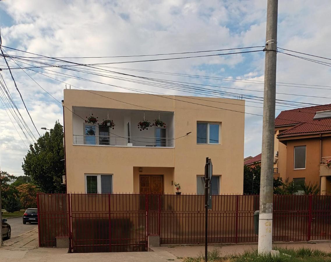 מלון אפורי נורד Vila Cosmin מראה חיצוני תמונה